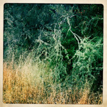 Log_Winter2017_LDP1_1