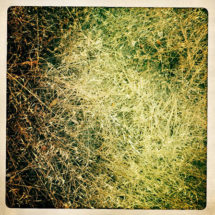 Log_Winter2017_LDP1_2