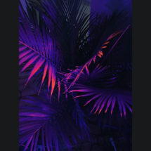 Log_Winter2018_LDP2_NightLife29