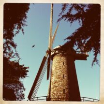 GGParkWindmill_April2014