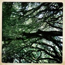 HipstamaticPhoto-580517499.617377