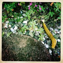 HipstamaticPhoto-583120913.596479