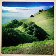 HipstamaticPhoto-635295039.021666