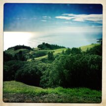 HipstamaticPhoto-635295043.951402